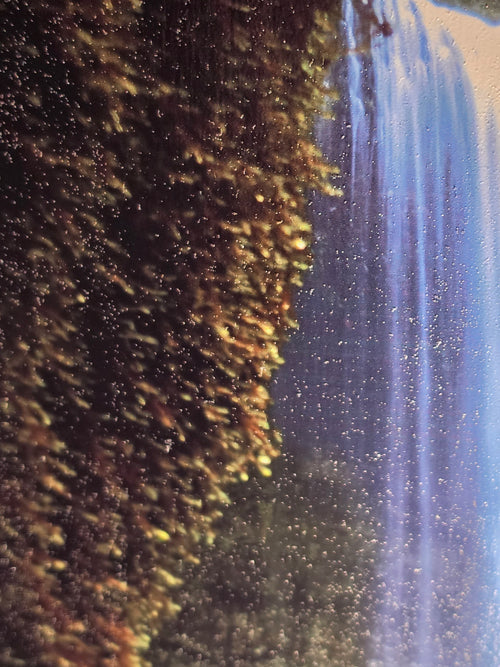 Custom Hardwood Portrait